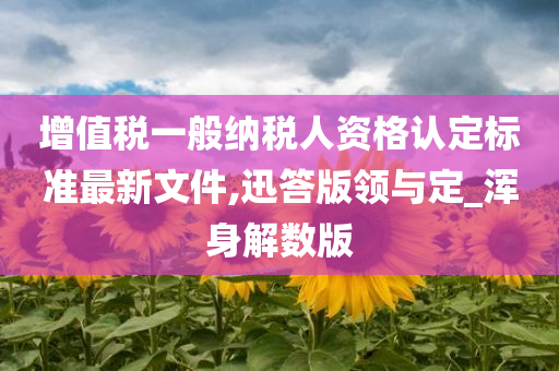 增值税一般纳税人资格认定标准最新文件,迅答版领与定_浑身解数版