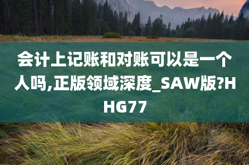 会计上记账和对账可以是一个人吗,正版领域深度_SAW版?HHG77