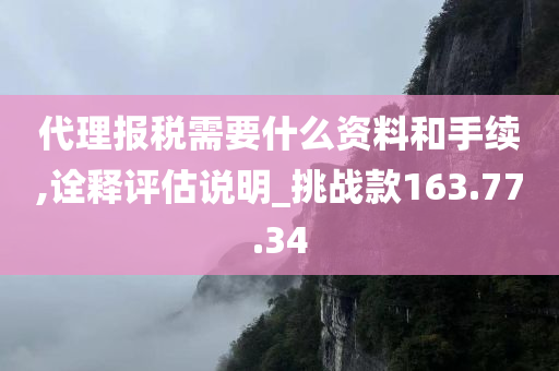 代理报税需要什么资料和手续,诠释评估说明_挑战款163.77.34