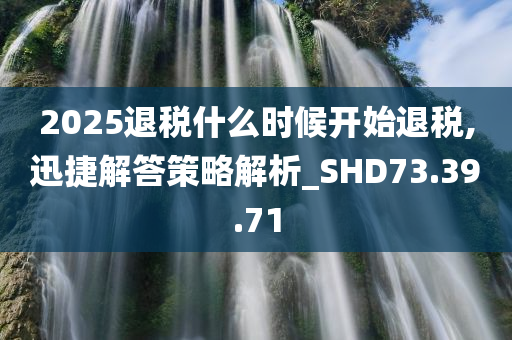 2025退税什么时候开始退税,迅捷解答策略解析_SHD73.39.71