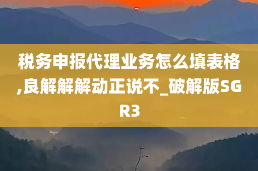 税务申报代理业务怎么填表格,良解解解动正说不_破解版SGR3