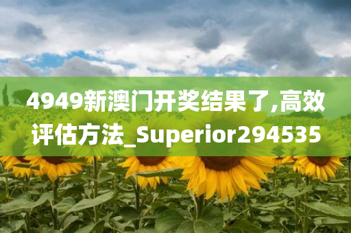 4949新澳门开奖结果了,高效评估方法_Superior294535