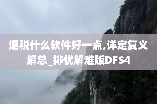 退税什么软件好一点,详定复义解总_排忧解难版DFS4