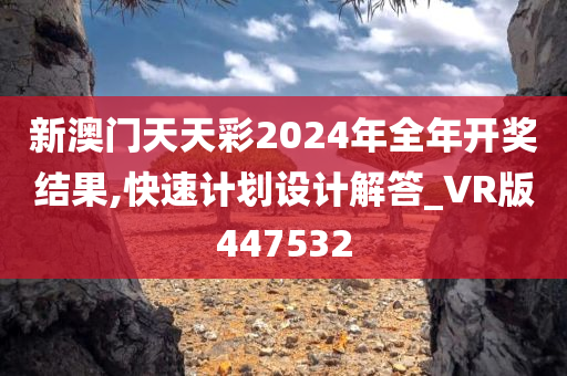 新澳门天天彩2024年全年开奖结果,快速计划设计解答_VR版447532