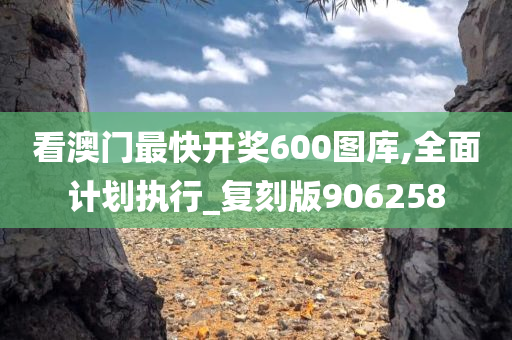 看澳门最快开奖600图库,全面计划执行_复刻版906258