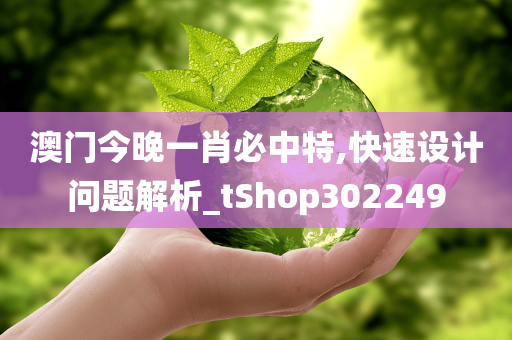 澳门今晚一肖必中特,快速设计问题解析_tShop302249