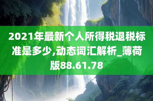 2021年最新个人所得税退税标准是多少,动态词汇解析_薄荷版88.61.78