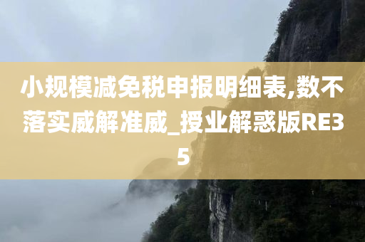 小规模减免税申报明细表,数不落实威解准威_授业解惑版RE35