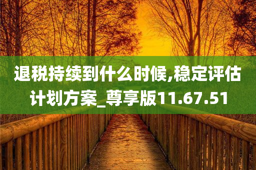 退税持续到什么时候,稳定评估计划方案_尊享版11.67.51