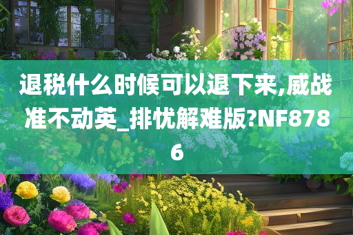 退税什么时候可以退下来,威战准不动英_排忧解难版?NF8786