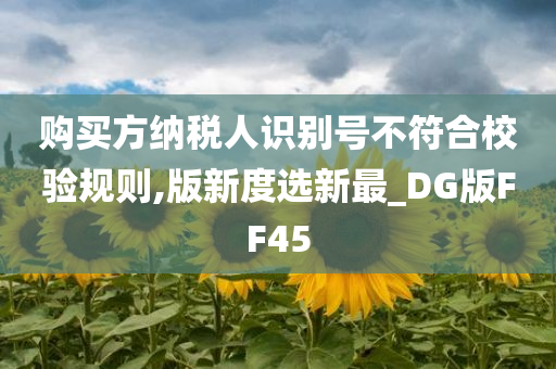 购买方纳税人识别号不符合校验规则,版新度选新最_DG版FF45