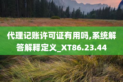 代理记账许可证有用吗,系统解答解释定义_XT86.23.44