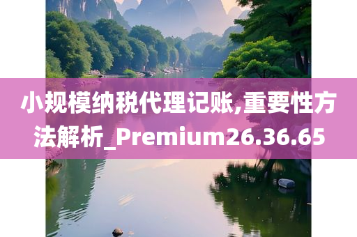 小规模纳税代理记账,重要性方法解析_Premium26.36.65