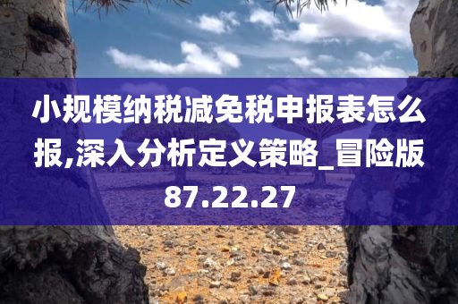 小规模纳税减免税申报表怎么报,深入分析定义策略_冒险版87.22.27