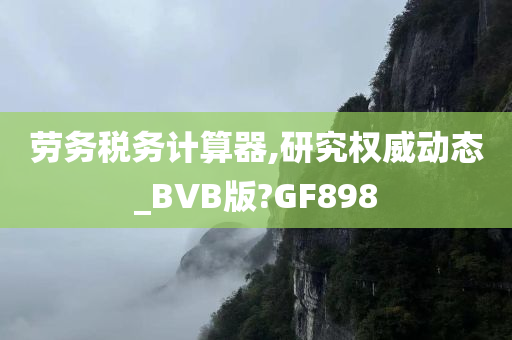 劳务税务计算器,研究权威动态_BVB版?GF898