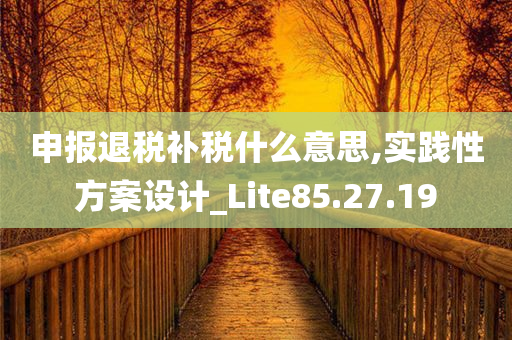 申报退税补税什么意思,实践性方案设计_Lite85.27.19