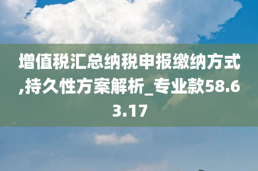 增值税汇总纳税申报缴纳方式,持久性方案解析_专业款58.63.17