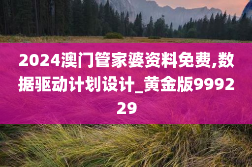 2024澳门管家婆资料免费,数据驱动计划设计_黄金版999229