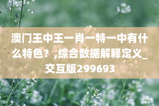 澳门王中王一肖一特一中有什么特色？,综合数据解释定义_交互版299693