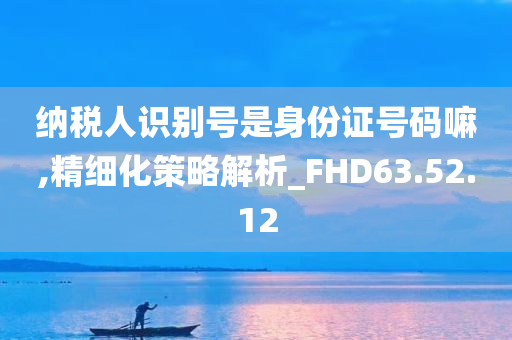 纳税人识别号是身份证号码嘛,精细化策略解析_FHD63.52.12