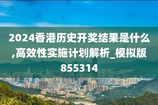 2024香港历史开奖结果是什么,高效性实施计划解析_模拟版855314