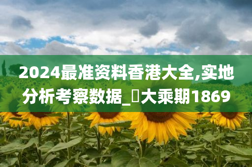 2024最准资料香港大全,实地分析考察数据_‌大乘期1869