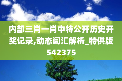 内部三肖一肖中特公开历史开奖记录,动态词汇解析_特供版542375