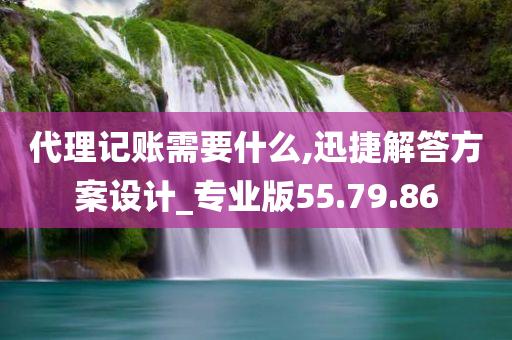 代理记账需要什么,迅捷解答方案设计_专业版55.79.86