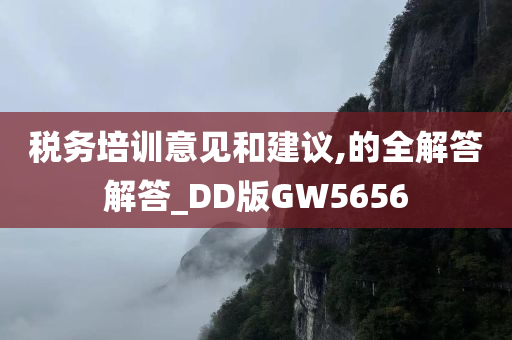 税务培训意见和建议,的全解答解答_DD版GW5656