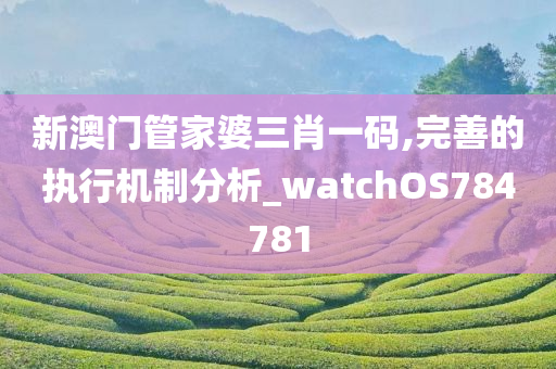 新澳门管家婆三肖一码,完善的执行机制分析_watchOS784781