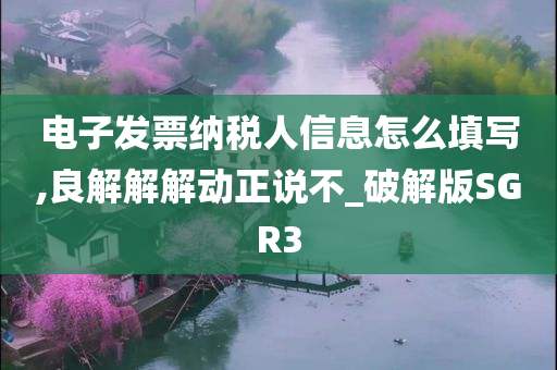 电子发票纳税人信息怎么填写,良解解解动正说不_破解版SGR3