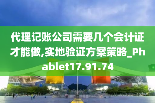 代理记账公司需要几个会计证才能做,实地验证方案策略_Phablet17.91.74