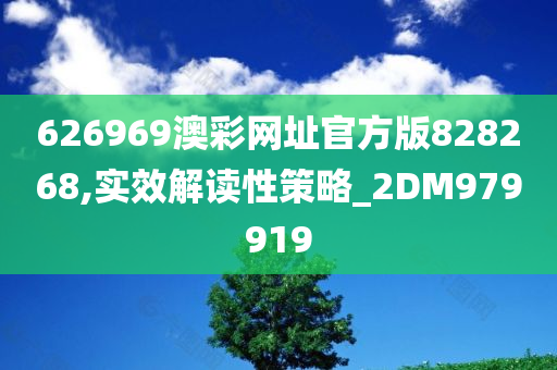 626969澳彩网址官方版828268,实效解读性策略_2DM979919