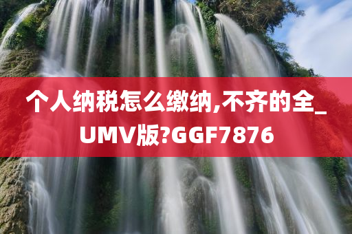 个人纳税怎么缴纳,不齐的全_UMV版?GGF7876