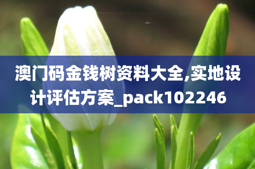 澳门码金钱树资料大全,实地设计评估方案_pack102246