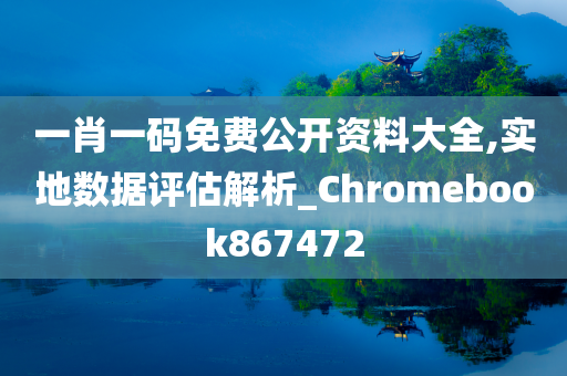 一肖一码免费公开资料大全,实地数据评估解析_Chromebook867472