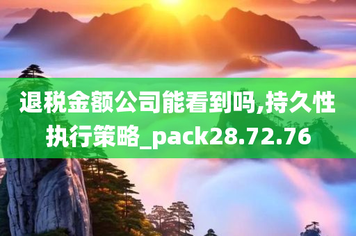 退税金额公司能看到吗,持久性执行策略_pack28.72.76