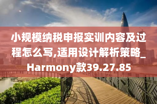 小规模纳税申报实训内容及过程怎么写,适用设计解析策略_Harmony款39.27.85