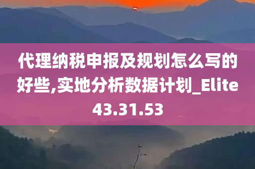 代理纳税申报及规划怎么写的好些,实地分析数据计划_Elite43.31.53