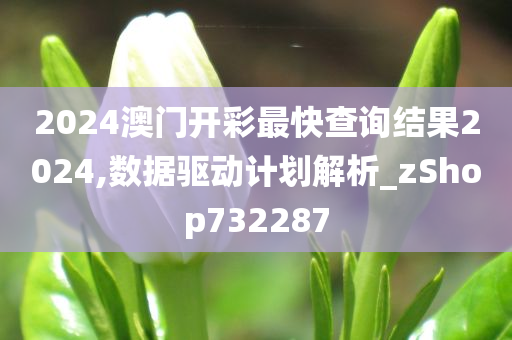 2024澳门开彩最快查询结果2024,数据驱动计划解析_zShop732287