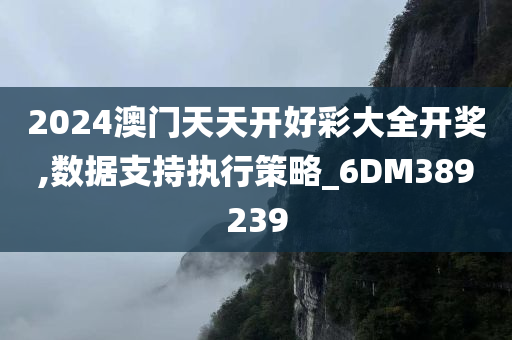 2024澳门天天开好彩大全开奖,数据支持执行策略_6DM389239