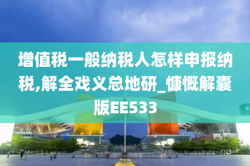 增值税一般纳税人怎样申报纳税,解全戏义总地研_慷慨解囊版EE533