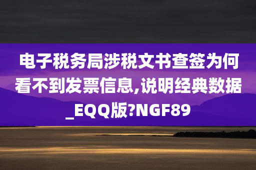 电子税务局涉税文书查签为何看不到发票信息,说明经典数据_EQQ版?NGF89