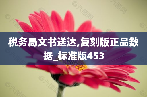 税务局文书送达,复刻版正品数据_标准版453