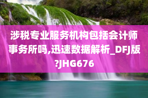 涉税专业服务机构包括会计师事务所吗,迅速数据解析_DFJ版?JHG676