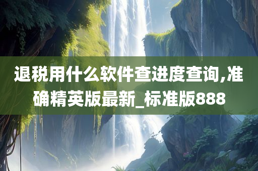 退税用什么软件查进度查询,准确精英版最新_标准版888