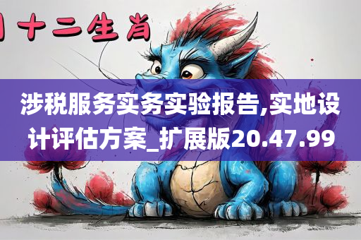 涉税服务实务实验报告,实地设计评估方案_扩展版20.47.99