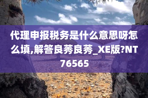 代理申报税务是什么意思呀怎么填,解答良莠良莠_XE版?NT76565