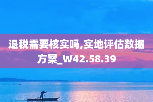 退税需要核实吗,实地评估数据方案_W42.58.39