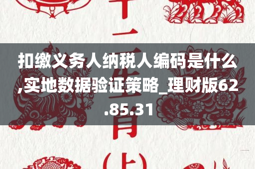 扣缴义务人纳税人编码是什么,实地数据验证策略_理财版62.85.31